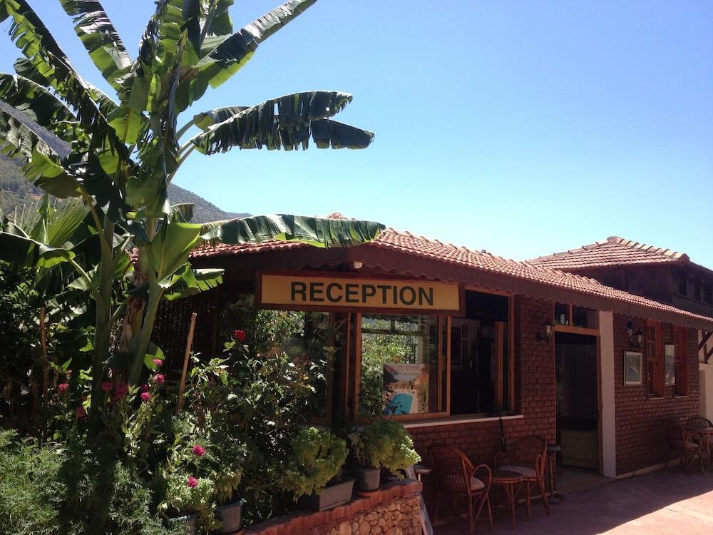 Aygul Hotel Ölüdeniz Extérieur photo