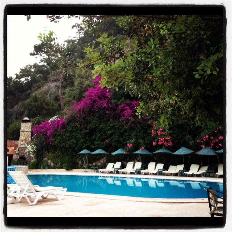 Aygul Hotel Ölüdeniz Extérieur photo